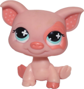 #0622 Pig